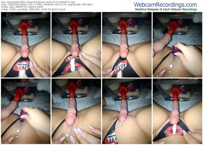 2024/10/13/stripchat-iitaniee-06-59-47