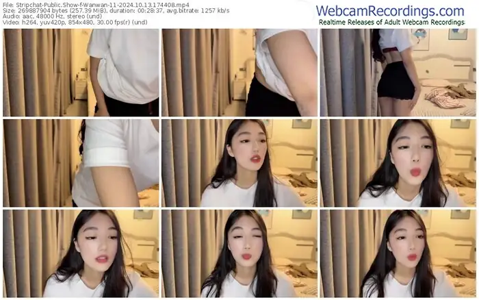 2024/10/13/stripchat-wanwan-11-17-44-08