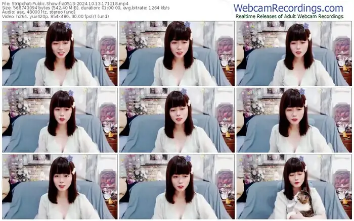 2024/10/13/stripchat-a0513-17-12-18