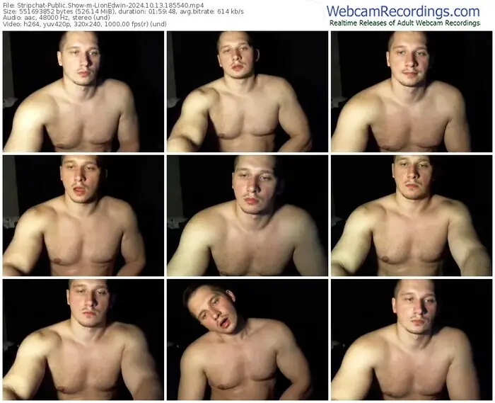 2024/10/13/stripchat-lionedwin-18-55-40