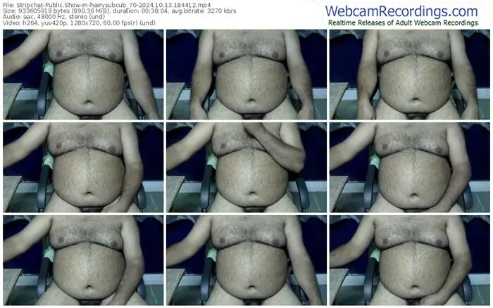 2024/10/13/stripchat-hairysubcub_70-18-44-12
