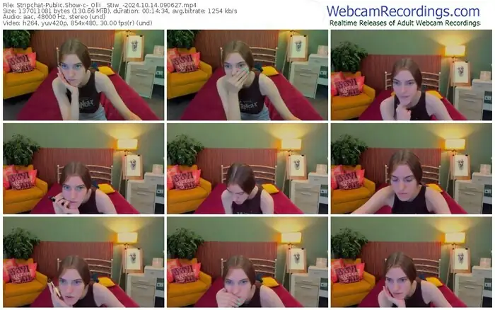 2024/10/14/stripchat-_olli__stiw_-09-06-27