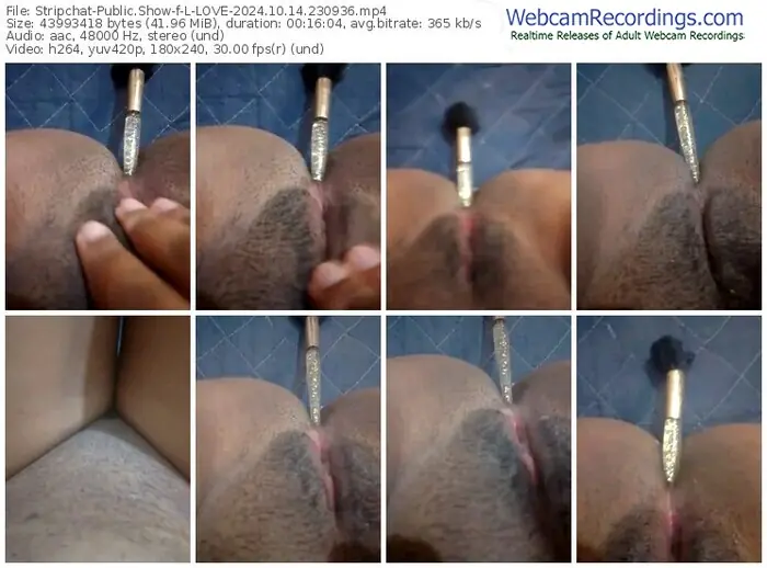 2024/10/14/stripchat-l-love-23-09-36