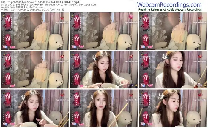 2024/10/14/stripchat-ledo-888-08-44-07