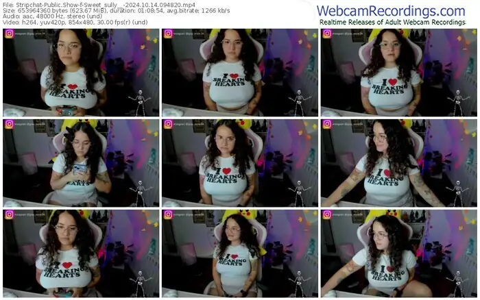 2024/10/14/stripchat-sweet_sully__-09-48-20