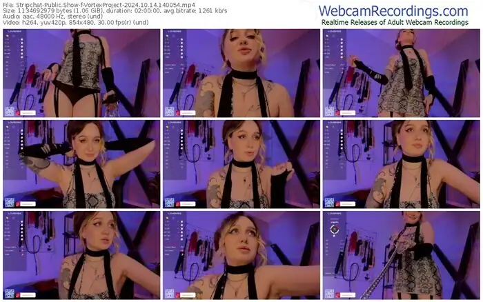 2024/10/14/stripchat-vortexproject-14-00-54