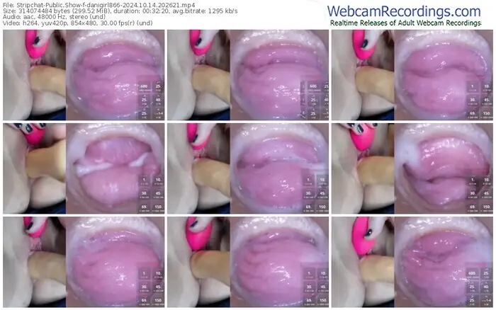 2024/10/14/stripchat-danigirl866-20-26-21