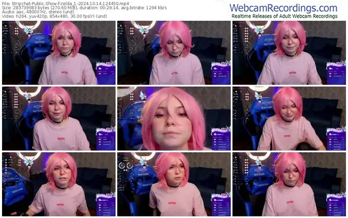 2024/10/14/stripchat-zelda_1-12-44-50