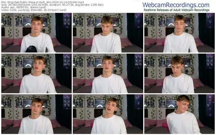 2024/10/14/stripchat-nick_win-02-19-42