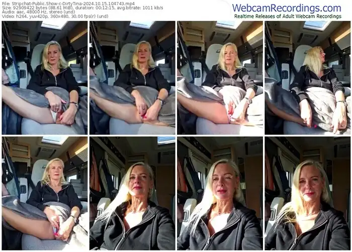 2024/10/15/stripchat-dirtytina-10-47-43