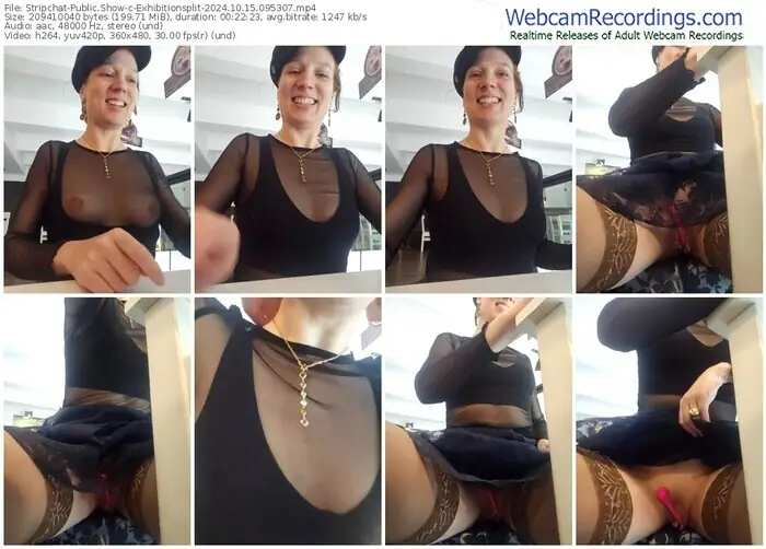 2024/10/15/stripchat-exhibitionsplit-09-53-07