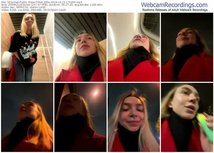 2024/10/15/stripchat-miss_elfie-17-52-04