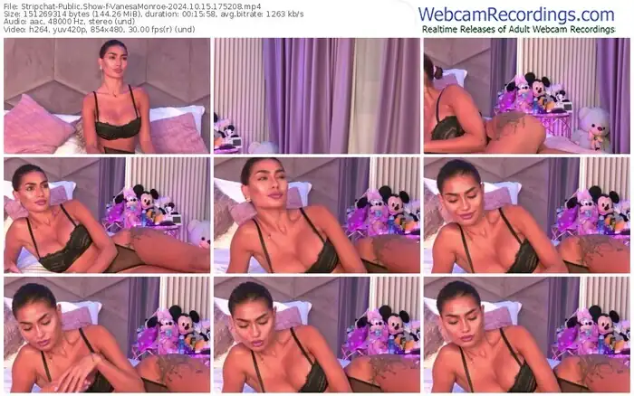 2024/10/15/stripchat-vanesamonroe-17-52-08