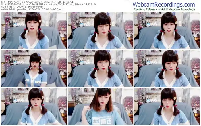 2024/10/15/stripchat-a0513-20-54-21