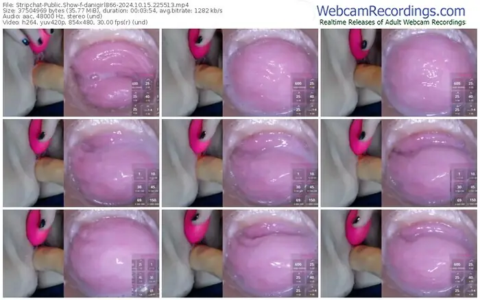 2024/10/15/stripchat-danigirl866-22-55-13