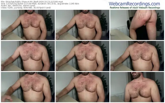 2024/10/15/stripchat-mr_beef-21-33-00