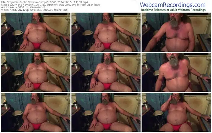 2024/10/15/stripchat-herbie010666-11-41-58