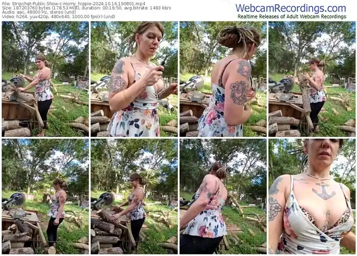 2024/10/16/stripchat-horny_hippie-19-08-01