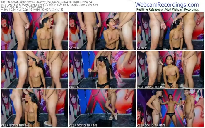 2024/10/16/stripchat-destroy_the_bimbo_-01-53-22
