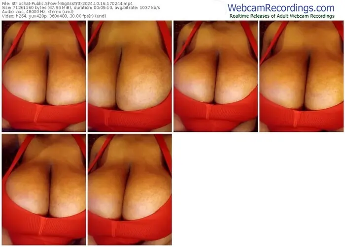 2024/10/16/stripchat-bigasstitt-17-02-44