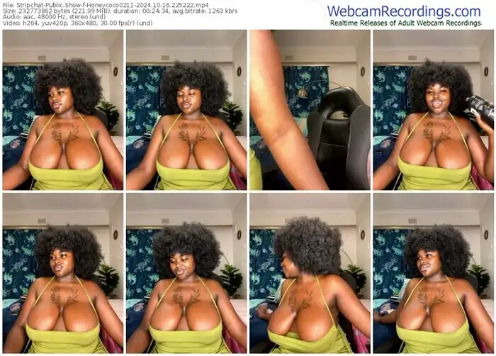 2024/10/16/stripchat-honeycoco0211-22-52-22