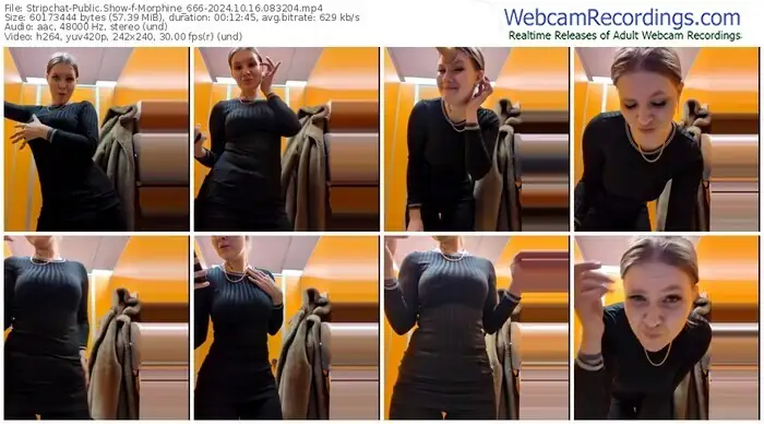 2024/10/16/stripchat-morphine_666-08-32-04