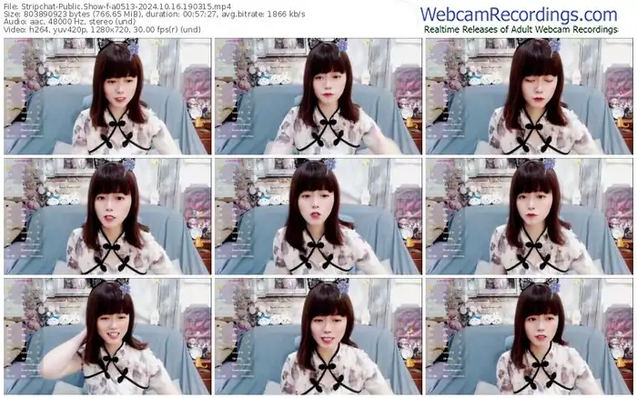 2024/10/16/stripchat-a0513-19-03-15