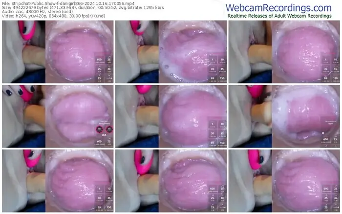 2024/10/16/stripchat-danigirl866-17-00-56