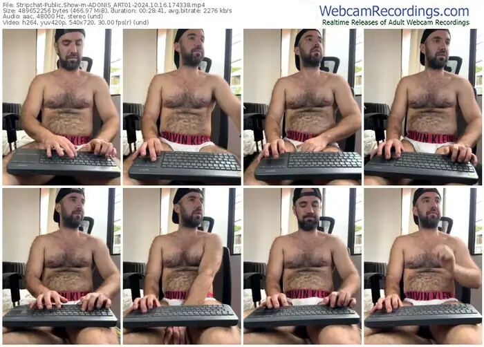 2024/10/16/stripchat-adonis_art01-17-43-38