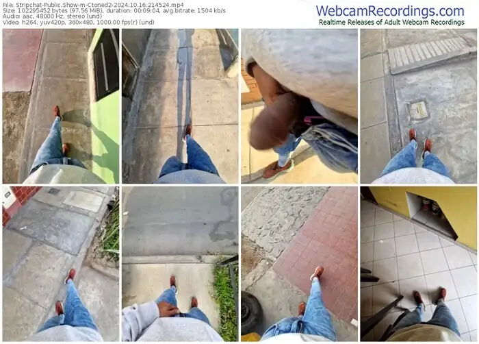 2024/10/16/stripchat-ctoned2-21-45-24