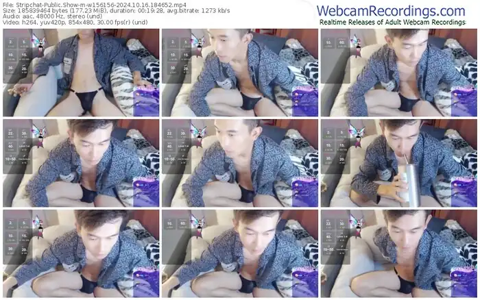 2024/10/16/stripchat-w156156-18-46-52