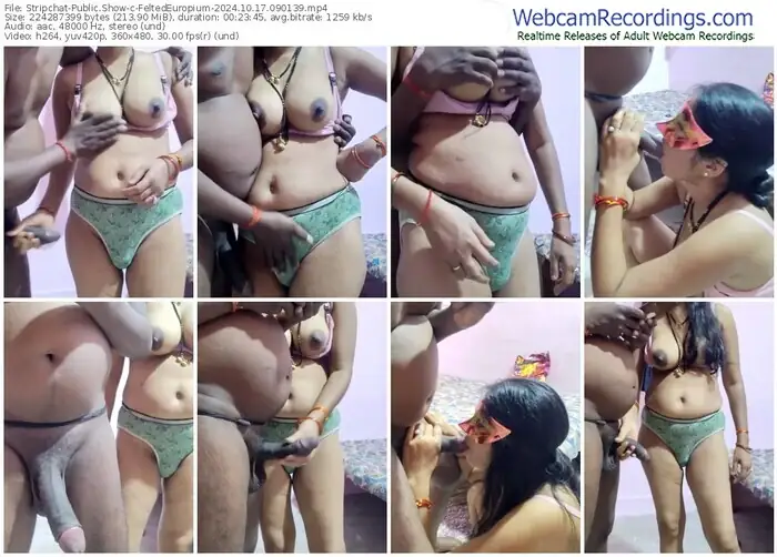 2024/10/17/stripchat-feltedeuropium-09-01-39