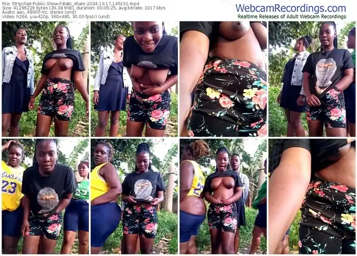 2024/10/17/stripchat-babi_sham-14-51-51