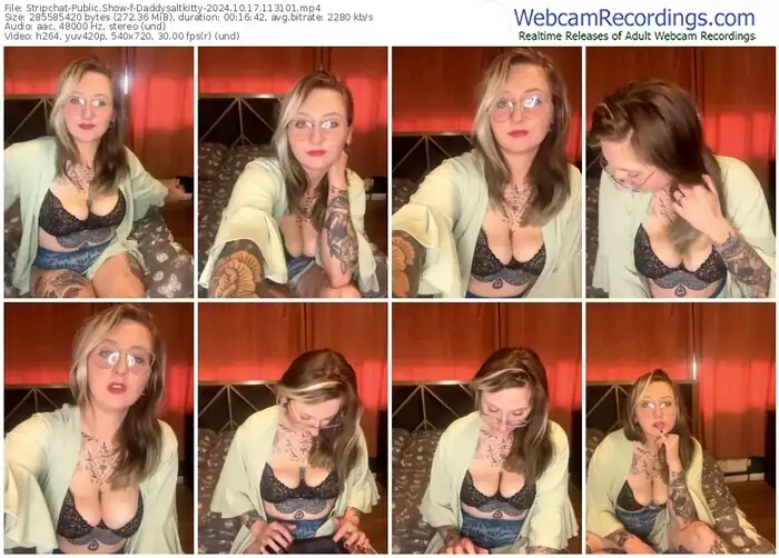 2024/10/17/stripchat-daddysaltkitty-11-31-01