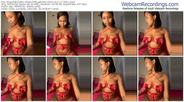 2024/10/17/stripchat-inklady444-17-30-11