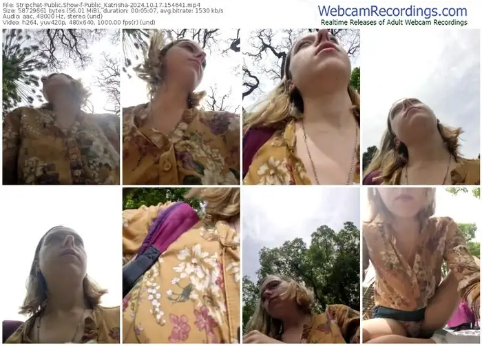 2024/10/17/stripchat-public_katrisha-15-46-41