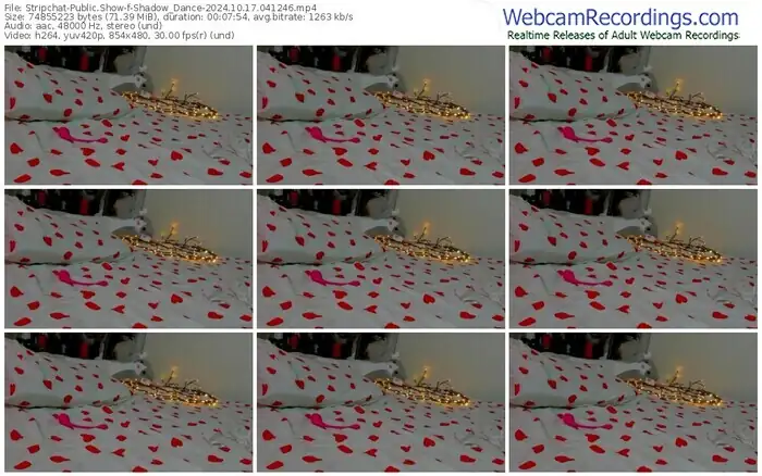 2024/10/17/stripchat-shadow_dance-04-12-46