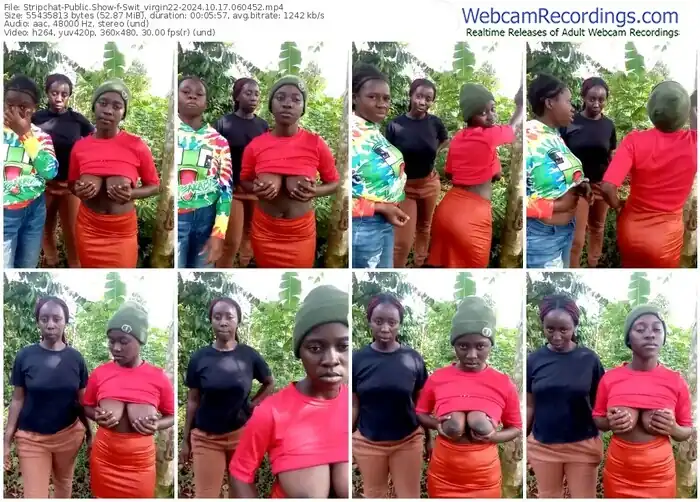 2024/10/17/stripchat-swit_virgin22-06-04-52