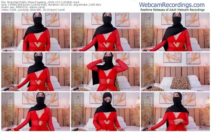 2024/10/17/stripchat-saamia_-20-28-41