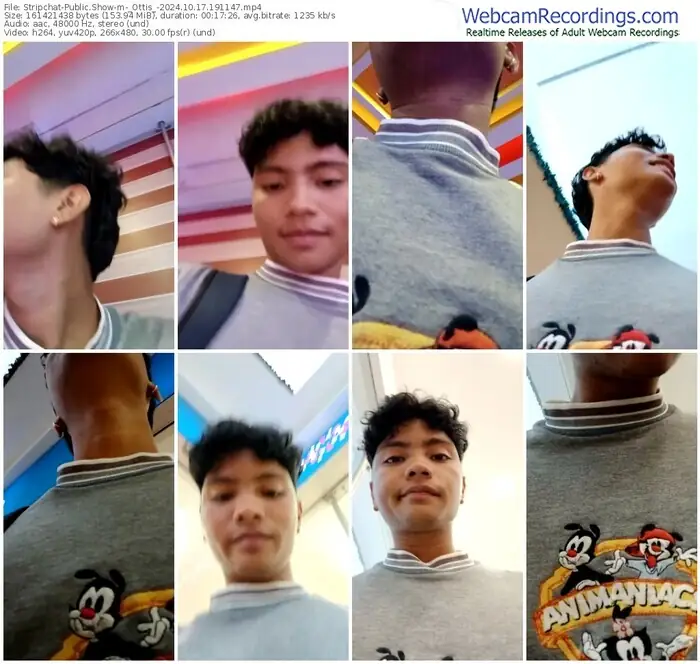 2024/10/17/stripchat-_ottis_-19-11-47