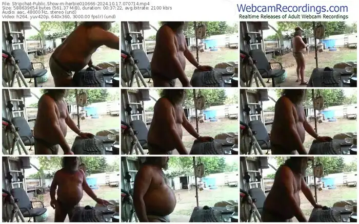 2024/10/17/stripchat-herbie010666-07-07-14