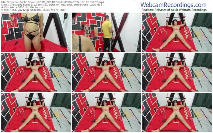 2024/10/18/stripchat-bdsm_exoticdomination-13-12-02