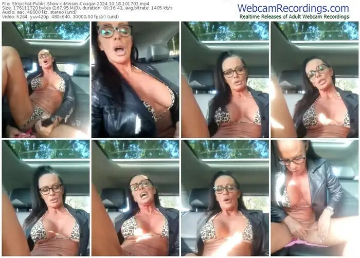 2024/10/18/stripchat-misses-cougar-10-17-03