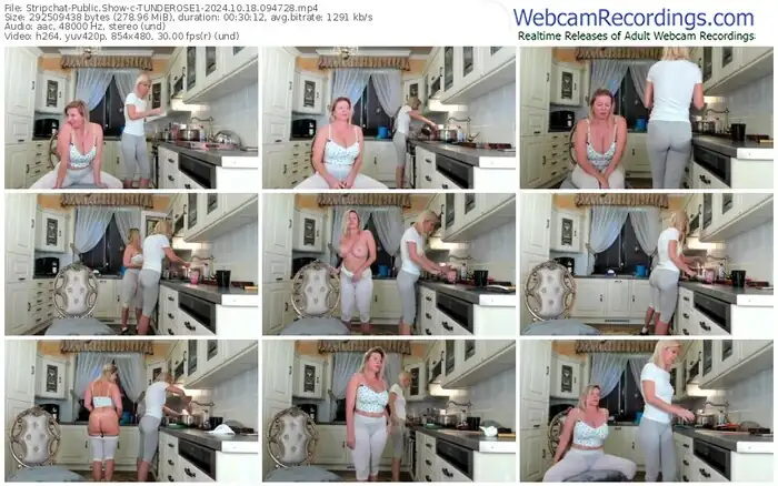 2024/10/18/stripchat-tunderose1-09-47-28