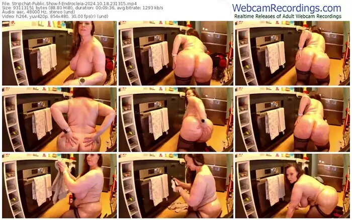 2024/10/18/stripchat-endrocleia-23-13-15