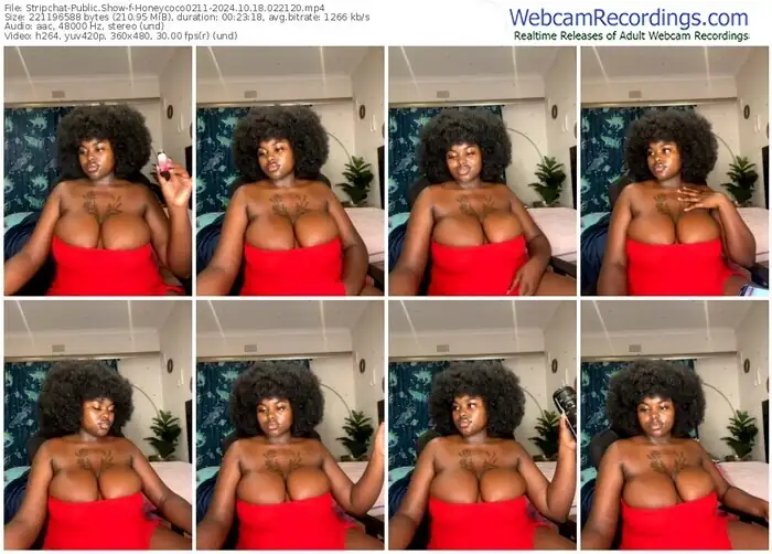 2024/10/18/stripchat-honeycoco0211-02-21-20