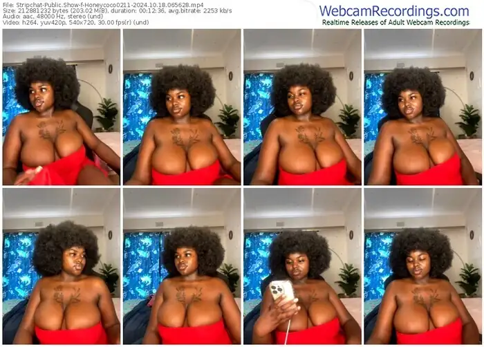 2024/10/18/stripchat-honeycoco0211-06-56-28