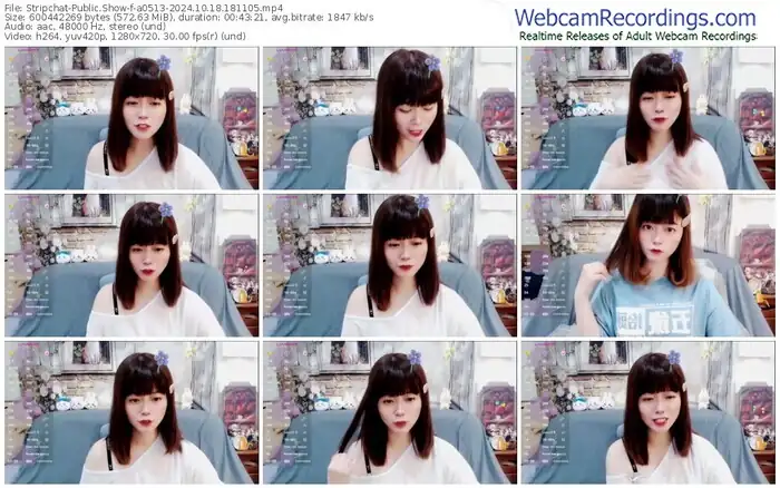 2024/10/18/stripchat-a0513-18-11-05