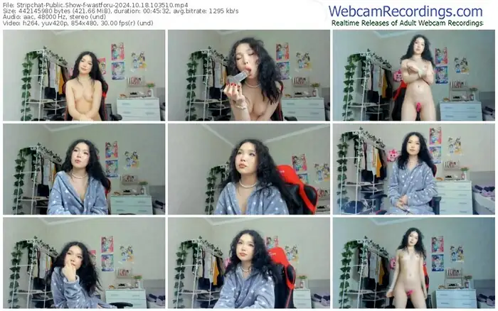 2024/10/18/stripchat-wastforu-10-35-10