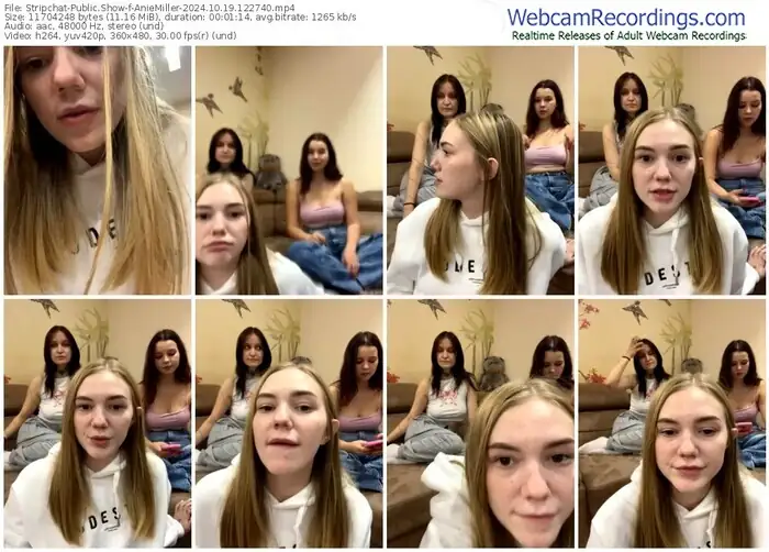 2024/10/19/stripchat-aniemiller-12-27-40